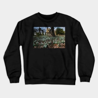 Churchyard Snowdrops Crewneck Sweatshirt